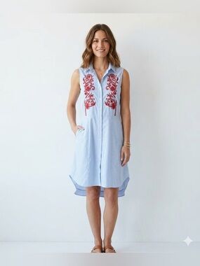 Sleeveless Light Blue Stripe Shirt Dress with Red Embroidery